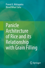 Panicle Architecture of Rice and its Relationship with Grain Filling - Pravat K. Mohapatra, Binod Bihari Sahu