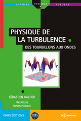 Physique de la turbulence - S&eacute;bastien Galtier