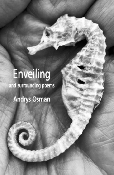 Enveiling and surrounding poems - Andrys Onsman