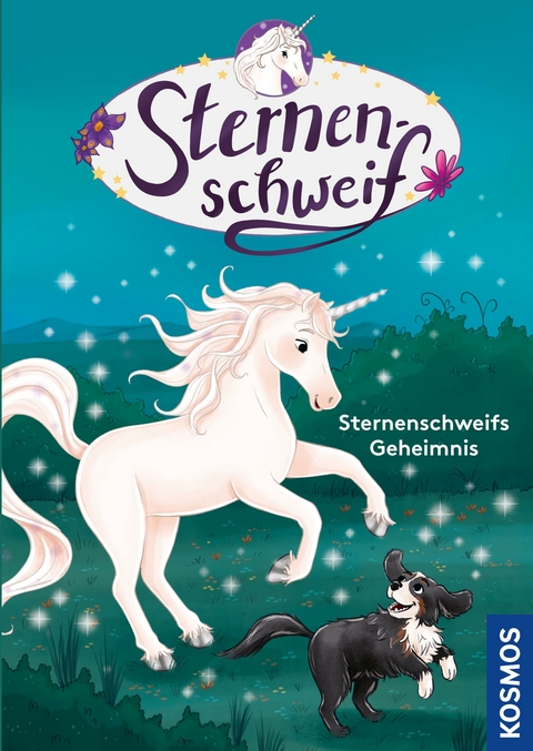 Sternenschweif, Sternenschweifs Geheimnis - Linda Chapman