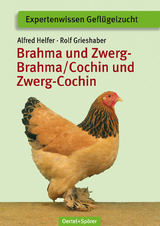 Brahma und Zwerg-Brahma, Cochin und Zwerg-Cochin - Alfred Helfer, Rolf Grieshaber