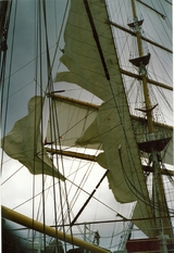 ELIZABETHA - Wolf-Ulrich Cropp