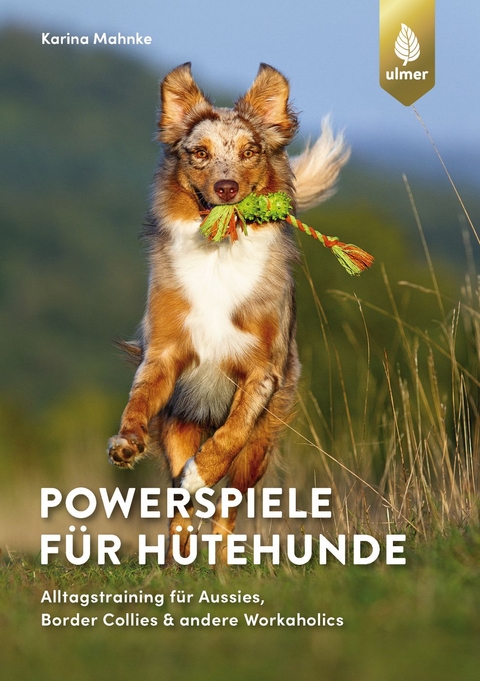 Powerspiele f&uuml;r H&uuml;tehunde - Karina Mahnke