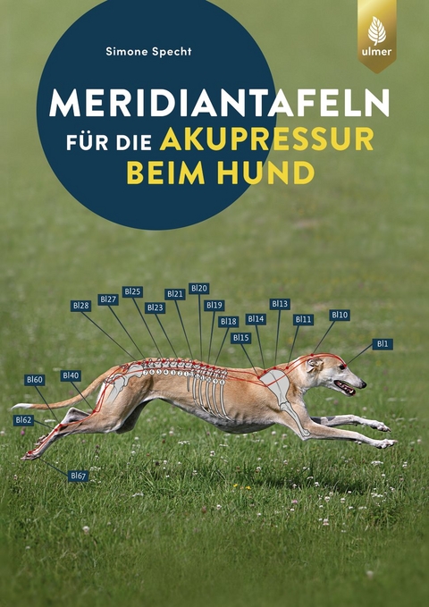 Meridiantafeln f&uuml;r die Akupressur beim Hund - Simone Specht