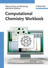 Computational Chemistry Workbook - Thomas Heine, Jan-Ole Joswig, Achim Gelessus