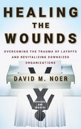 Healing the Wounds - Noer, David M.