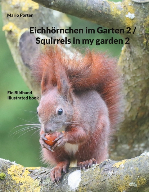Eichh&ouml;rnchen im Garten 2 / Squirrels in my garden 2 - Mario Porten