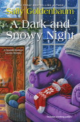 A Dark and Snowy Night - Sally Goldenbaum