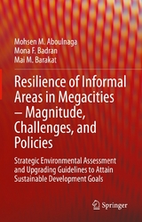 Resilience of Informal Areas in Megacities &ndash; Magnitude, Challenges, and Policies - Mohsen M. Aboulnaga, Mona F. Badran, Mai M. Barakat