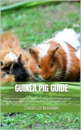 Guinea Pig Guide - Thorsten Hawk