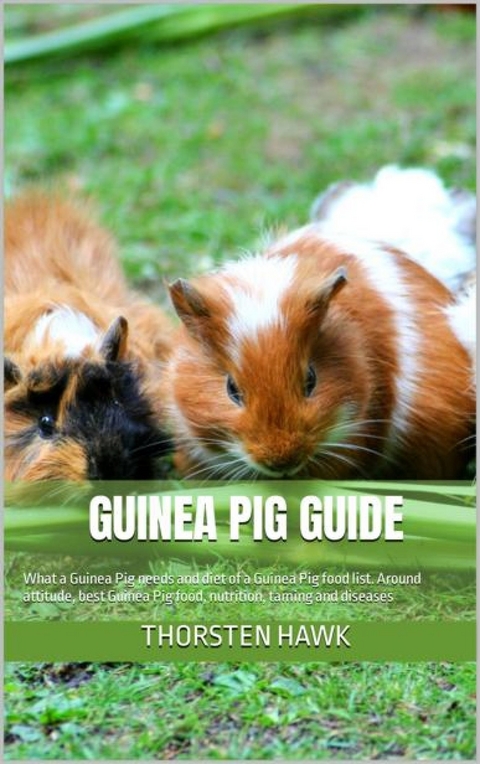 Guinea Pig Guide - Thorsten Hawk