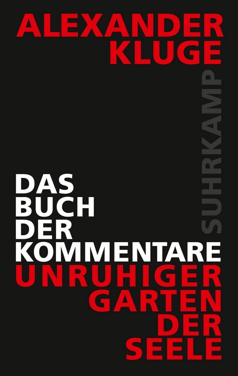 Das Buch der Kommentare -  Alexander Kluge