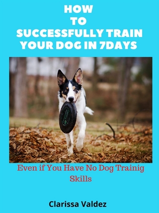 How to Successful Train Your Dog in 7days