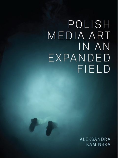 Polish Media Art in an Expanded Field -  Aleksandra Kaminska