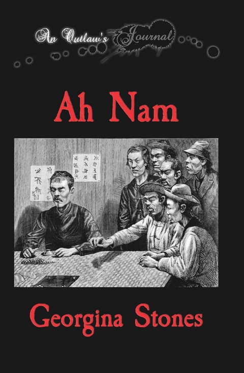 An Outlaw's Journal - Georgina R Stones