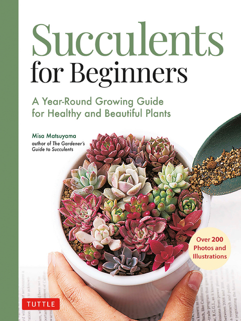 Succulents for Beginners -  Misa Matsuyama
