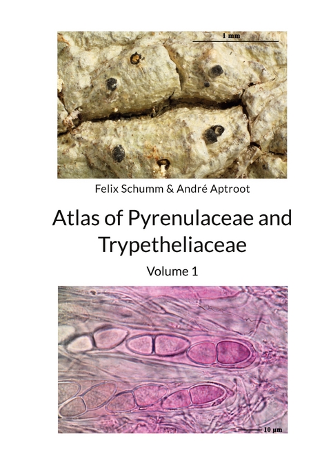 Atlas of Pyrenulaceae and Trypetheliaceae - Volume 1 - Felix Schumm, Andr&eacute; Aptroot