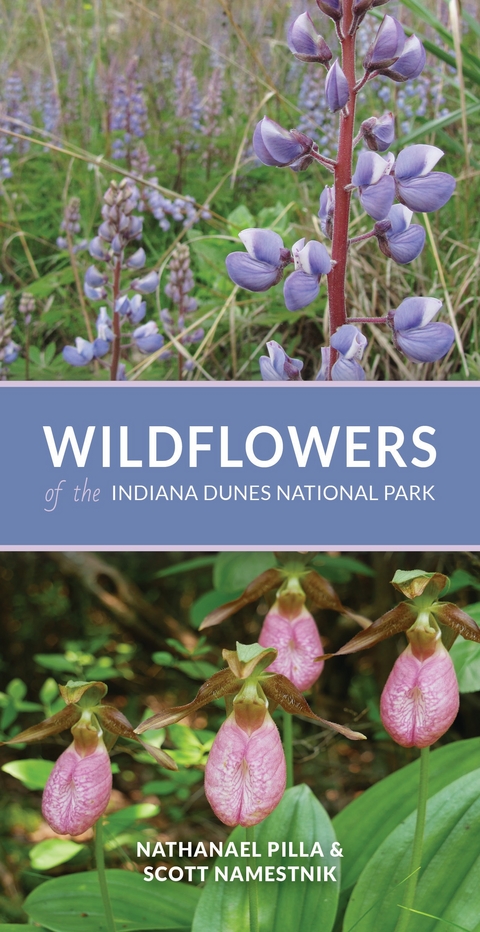 Wildflowers of the Indiana Dunes National Park - Nathanael Pilla, Scott Namestnik