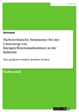 Nicht-technische Hemmnisse bei der Umsetzung von Energieeffizienzma&szlig;nahmen in der Industrie
