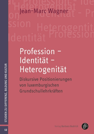 Profession – Identität – Heterogenität