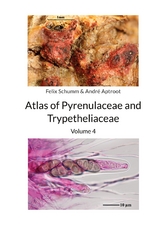 Atlas of Pyrenulaceae and Trypetheliaceae Vol 4 - Felix Schumm, Andr&eacute; Aptroot