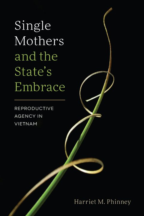 Single Mothers and the State&rsquo;s Embrace - Harriet M. Phinney