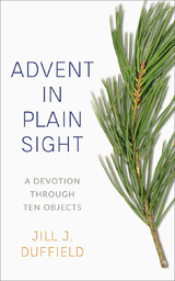 Advent in Plain Sight - Jill J. Duffield