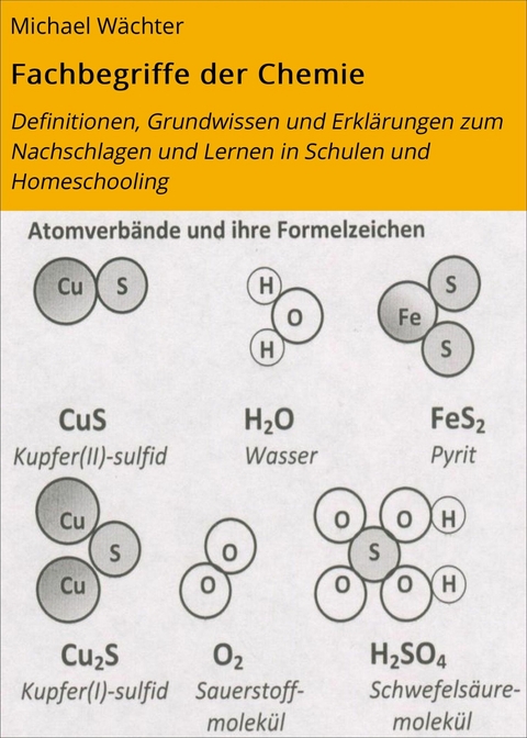 Fachbegriffe der Chemie - Michael W&auml;chter