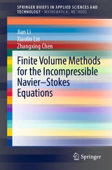 Finite Volume Methods for the Incompressible Navier&ndash;Stokes Equations - Jian Li, Xiaolin Lin, Zhangxing Chen