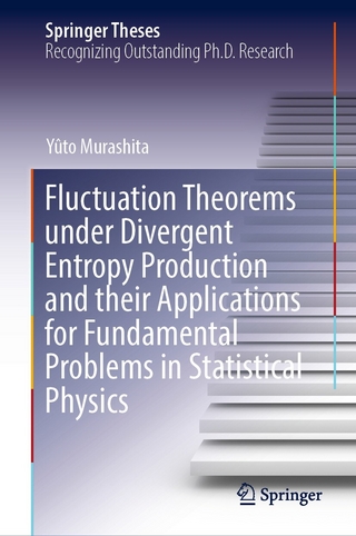 Fluctuation Theorems under Divergent Entropy Production and their Applications for Fundamental Problems in Statistical Physics
