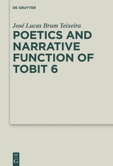 Poetics and Narrative Function of Tobit 6 - Jos&eacute; Lucas Brum Teixeira