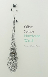 Hurricane Watch -  Olive Senior