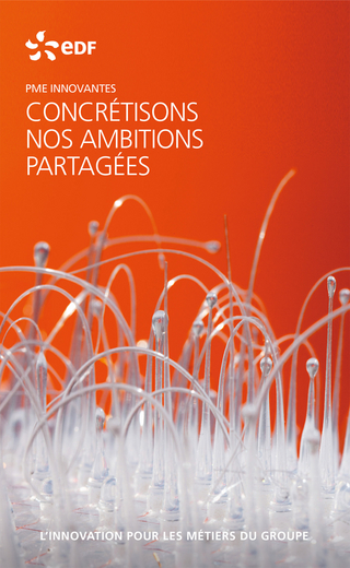 EDF PME innovantes - L'innovation pour les métiers du groupe
