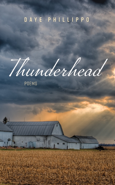 Thunderhead - Daye Phillippo