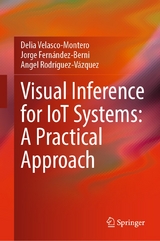 Visual Inference for IoT Systems: A Practical Approach - Delia Velasco-Montero, Jorge Fernández-Berni, Angel Rodríguez-Vázquez