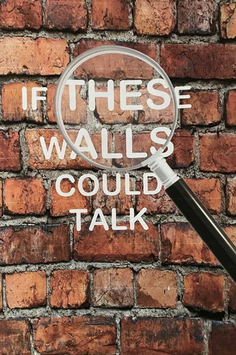 If These walls Could Talk -  Steve Levy