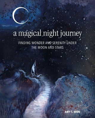 Magical Night Journey
