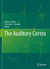 The Auditory Cortex - 