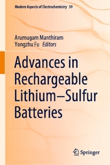 Advances in Rechargeable Lithium&ndash;Sulfur Batteries - 