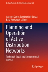 Planning and Operation of Active Distribution Networks - 
