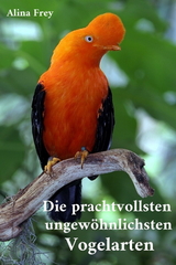 Die prachvollsten ungew&ouml;hnlichsten Vogelarten -  Alina Frey