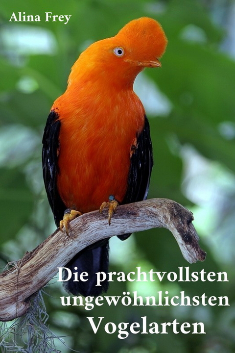 Die prachvollsten ungew&ouml;hnlichsten Vogelarten -  Alina Frey