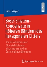 Bose-Einstein-Kondensate in h&ouml;heren B&auml;ndern des hexagonalen Gitters - Julius Seeger