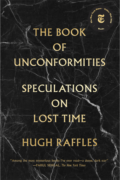 The Book of Unconformities - Hugh Raffles