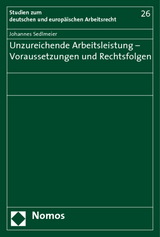 Unzureichende Arbeitsleistung - Voraussetzungen und Rechtsfolgen - Johannes Sedlmeier