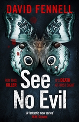 See No Evil -  David Fennell