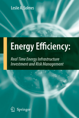 Energy Efficiency - Leslie A. Solmes