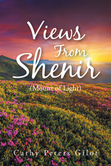 Views From Shenir (Mount of Light) - Cathy Peters Gilot