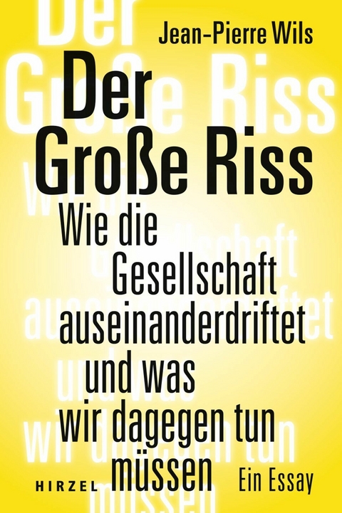 Der Große Riss - Jean-Pierre Wils