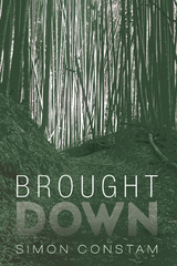 Brought Down - Simon Constam